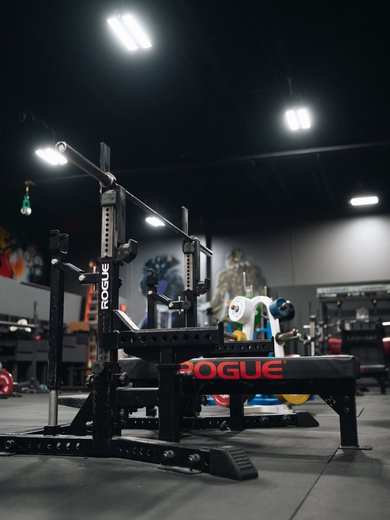 ryseathleticclub: The platforms are calling. Rogue all day.