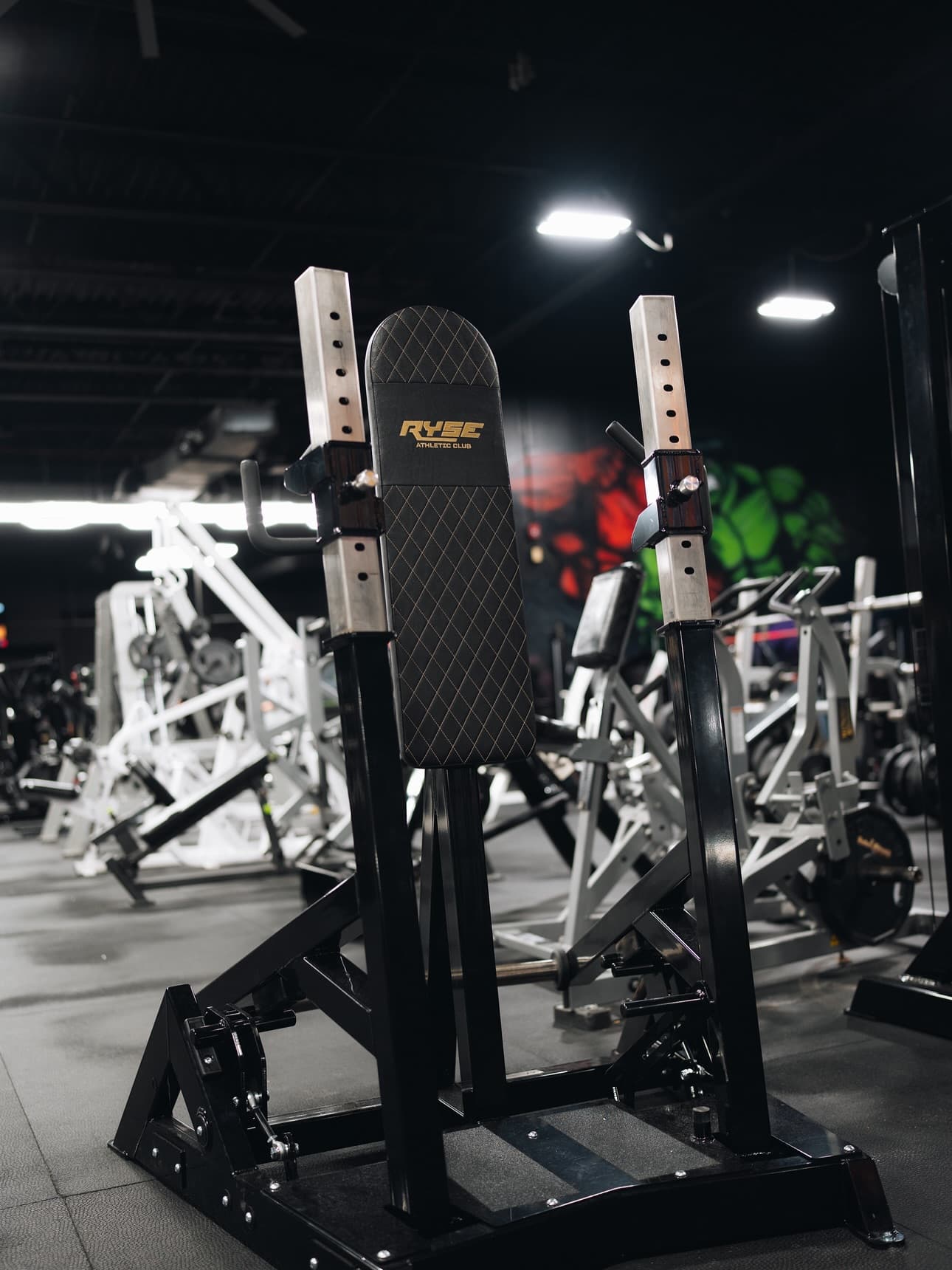 ryseathleticclub: RYSE-branded iron. Built different.